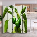 Paravent séparateur d'espaces avec image de poivrons verts imprimée sur toile avec cadre en mdf feeby-01