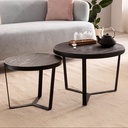 Lot de 2 tables basses en bois d'acacia massif/aspect pierre, table de salon ronde, table gigogne avec structure en métal, table basse moderne, noir/anthracite_01