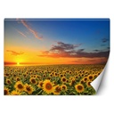 Papier peint rectangulaire avec image d'un champ de tournesols imprimée sur toile avec finition jaune