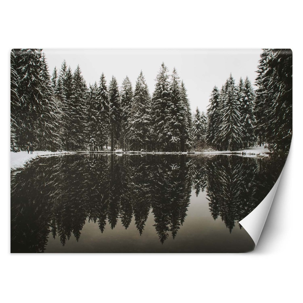 Papier peint imprimé sur toile avec colle motif lac dans le bois en hiver