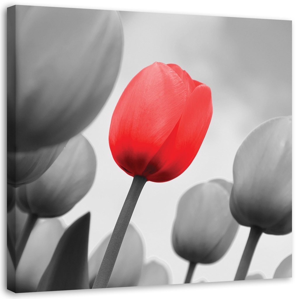 Cadre décoratif fabriqué en mdf avec image de tulipes rouge et gris