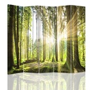 Paravent à deux faces 180 cm fabriqué en mdf et toile avec image de rayons de soleil dans la forêt