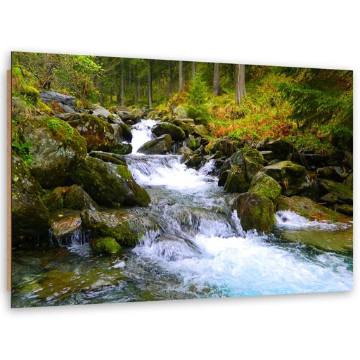 Cadre décoratif avec image de rivière de montagne imprimée sur papier avec encadrement en mdf vert