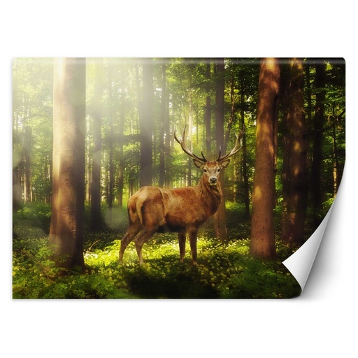 Papier peint rectangulaire imprimé sur toile avec finition verte cerf dans le bois