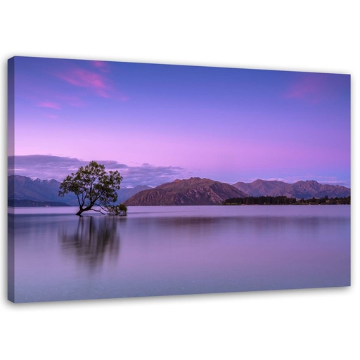 Cadre avec image de paysage imprimé sur toile classique avec une finition violette